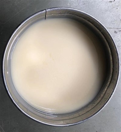 דבק Hot Melt בהדפסת Heat Transfer